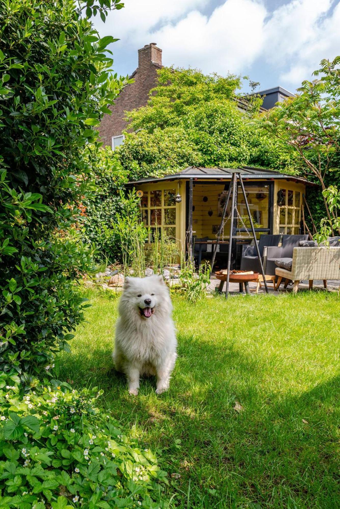 Apartment Tiny House - Fietsverhuur, Eigen Keuken En Badkamer Nijmegen